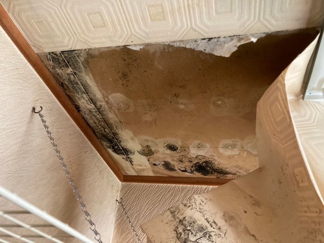 雨漏りで腐食した天井・別角度